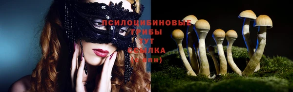 ГАЛЛЮЦИНОГЕННЫЕ ГРИБЫ Верхний Тагил