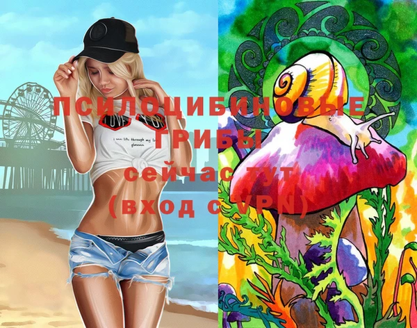 ГАЛЛЮЦИНОГЕННЫЕ ГРИБЫ Верхний Тагил