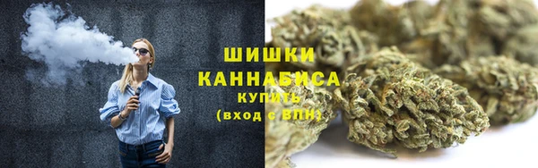 ГАЛЛЮЦИНОГЕННЫЕ ГРИБЫ Верхний Тагил