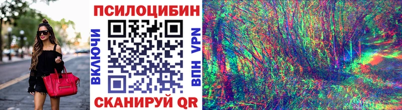 Псилоцибиновые грибы Psilocybe  хочу наркоту  Кашин 